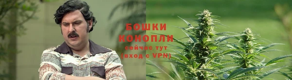 скорость Алзамай