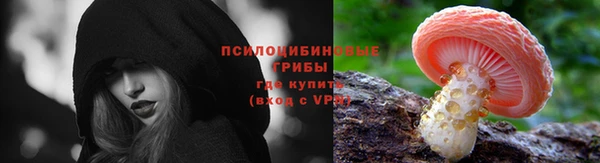 apvp Абаза