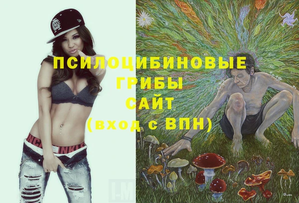 скорость Алзамай
