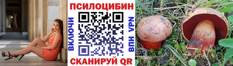 omg tor  Инза  Псилоцибиновые грибы ЛСД 